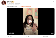 刘美含的录音教员去查一下豆包